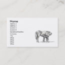 Recherche de poulain cheval cartes visite Animaux