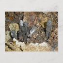 Recherche de doigt cartes postales Noir