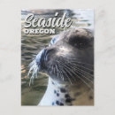 Recherche de lion mignon cartes postales Océan