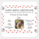 Recherche de empreintes de pattes chien autocollants Dogs