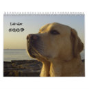 Recherche de labrador calendriers Animal