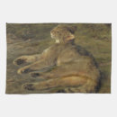 Recherche de chat sauvage cuisine linges Félin