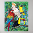 Recherche de oiseaux tropicaux posters Cockatoo