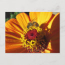 Recherche de abeille fleur cartes postales Fleurs