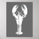 Zoek naar schaaldieren posters Ocean
