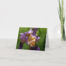 Zoek naar iris bloem kaarten Bloemtuin