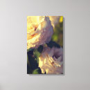 Recherche de toile de jardin Fleuri