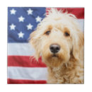 Zoek naar amerikaanse vlag tegels Hond