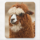 Zoek naar natuur afbeeldingen muismatten Fotografie