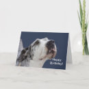 Recherche de great dane vœux cartes Danois