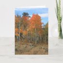 Recherche de peuplier vœux cartes Feuilles d'automne