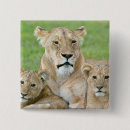 Recherche de la tanzanie badges Faune