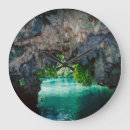 Recherche de chauve souris horloges Nature