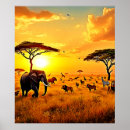 Zoek naar afrikaanse zonsondergang posters Wilde dieren