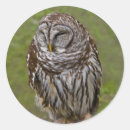 Recherche de poulailler autocollants Nature