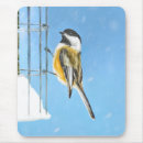 Recherche de alimentation tapis souris Oiseau