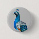 Zoek naar pauwen buttons Waterverf