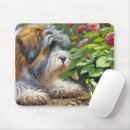 Recherche de chien papillon tapis souris Mignon