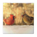 Recherche de hiver carreaux Automne