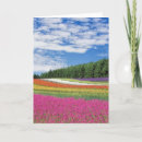 Zoek naar summer kaarten Pretty