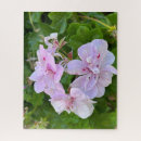 Recherche de lierre puzzles Botanique