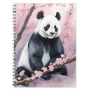 Recherche de panda carnets Aquarelle