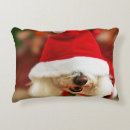 Recherche de bichon coussins Animal
