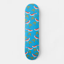 Zoek naar vogels skateboards Natuur
