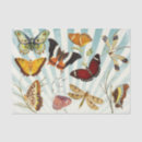 Recherche de collage de papillon Rétro
