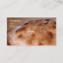 Recherche de tartes cartes visite Nourriture