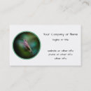 Recherche de colibri cartes visite Photographe