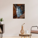Zoek naar hoornvlies posters Uil