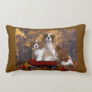 Recherche de cavalier coussins Chien