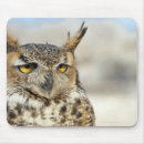 Recherche de hibou à cornes tapis souris Faune