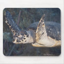 Recherche de mer des caraïbes tapis souris Dehors