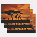 Recherche de safari africain papier cadeau Afrique