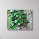 Zoek naar boomstam canvas prints Natuur