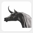 Recherche de courbe autocollants Noir