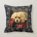 Zoek naar hond herinnering geschenken Kat