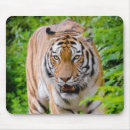 Zoek naar tigers muismatten Mooi