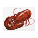 Recherche de homard magnets Le maine