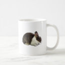 Recherche de oreilles de lapin tasses Faune