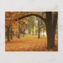 Recherche de grand format cartes postales Arbre