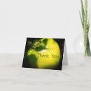 Recherche de tomates photographie Nourriture