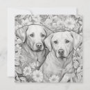Recherche de labrador retriever noir vœux cartes D'anniversaire