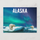 Recherche de lumière polaire cartes postales Alaska