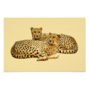 Recherche de cheetah posters Félin