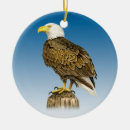 Recherche de majestueux ornements Nature