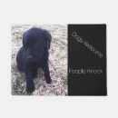 Recherche de chien de labrador terrasses jardins Labrador retriever noir
