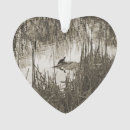 Recherche de winter solstice Nature